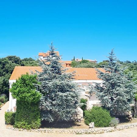 Вілла Lavender House Мандре Екстер'єр фото